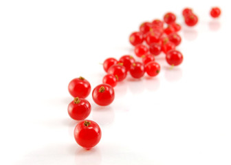 Isolated red currant