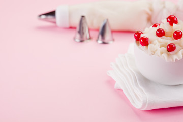 Cream Dessert with currants