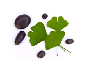 Ginko und Kieselsteine, Freisteller, freigestellt