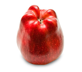 red apple isolated on white background