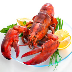 Whole lobster on dish © Alexander Raths