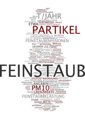Feinstaub