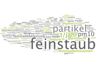 Feinstaub