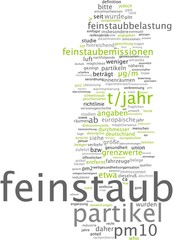 Feinstaub