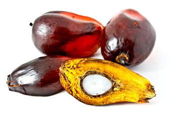palm oil fruits with cut section on white background
