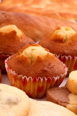 Fresh Muffin