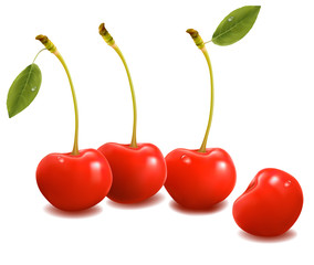 Sweet cherry isolated on white. Vector
