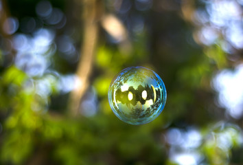 soap bubble