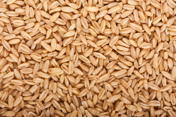 Oat grains closeup texture