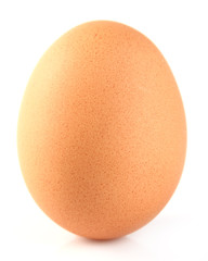 One egg in closeup