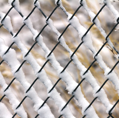 Snow clinging to a fence