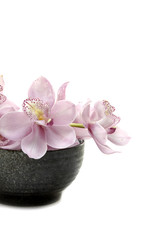 Obraz na płótnie Canvas pink orchid in a bowl