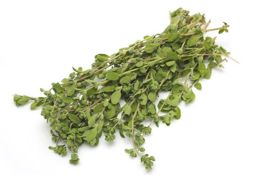 Bunch oh thyme