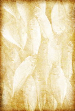 fish pattern on old grunge paper