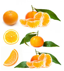 Fototapeta na wymiar Fresh tangerines