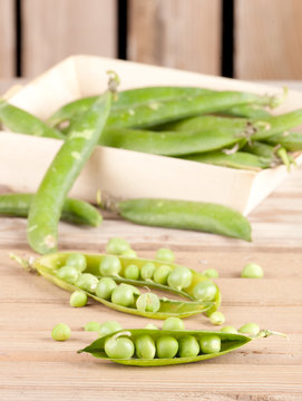 pods of green peas