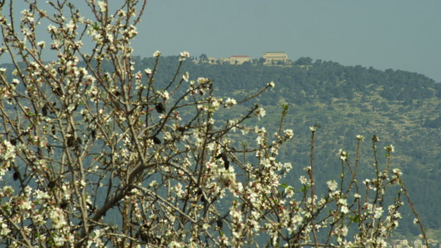 Stock Video Footage of Mount Tabor shot in Israel at 4k with Red.