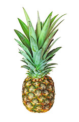 Fototapeta premium pineapple on white