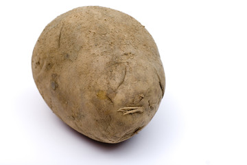 Fototapeta premium potato