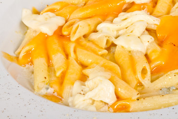 Penne pasta with parmesan, dor blue, chamamber and mozzarella