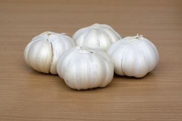 Garlic
