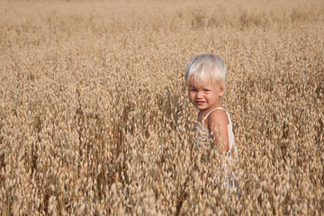 Boy on the oats field