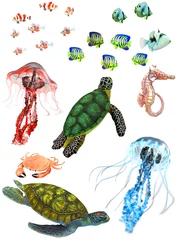 Meubelstickers onderwater dieren © s.gatterwe
