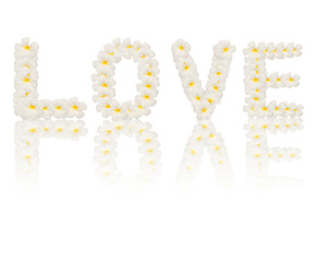 Love word created from flower isolated on white