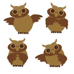 nice owls in different position
