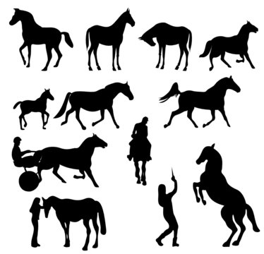 chevaux en silhouettes noires