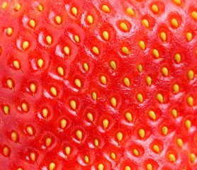 macro of strawberry texture