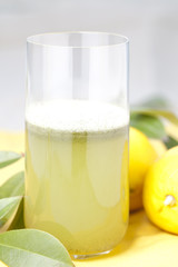lime and lemon juice with parsley