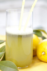 lime and lemon juice with parsley