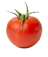tomatoes on white background