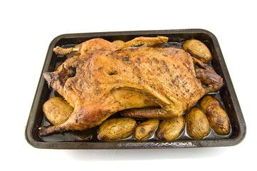 Roasted duck