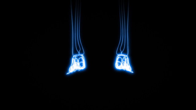 X-Ray Scan of Human Skeleton (HD)