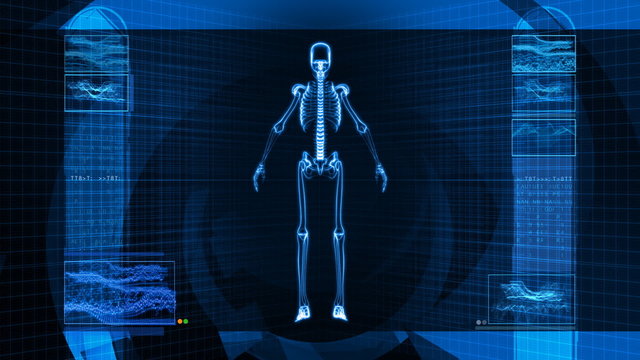 X-Ray Scan of Human Skeleton (HD)
