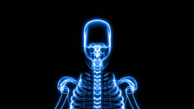 X-Ray Scan of Human Skeleton (HD)
