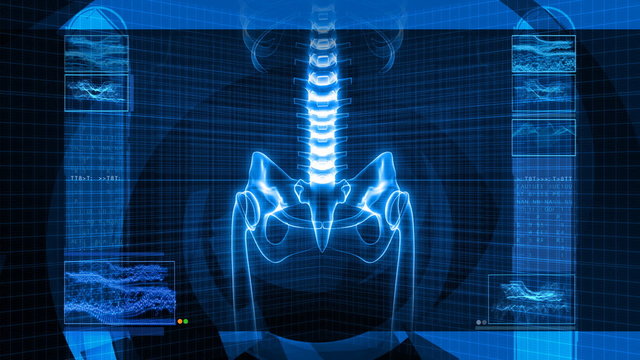X-Ray of Human Skeleton (HD)