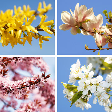 Fr&uuml;hlings-Collage