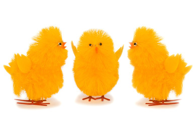 Yellow easter chicks discussing serious matters