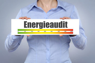 Energieaudit