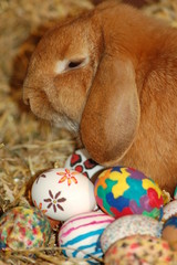 Wenn der Osterhase kommt....