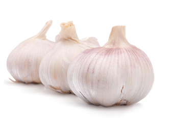 Obraz premium garlic