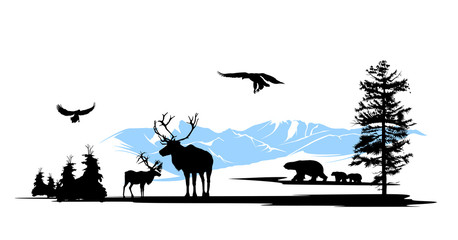 Fototapeta na wymiar Zwierzęta, lasy, na sosny i śnieg tle gór