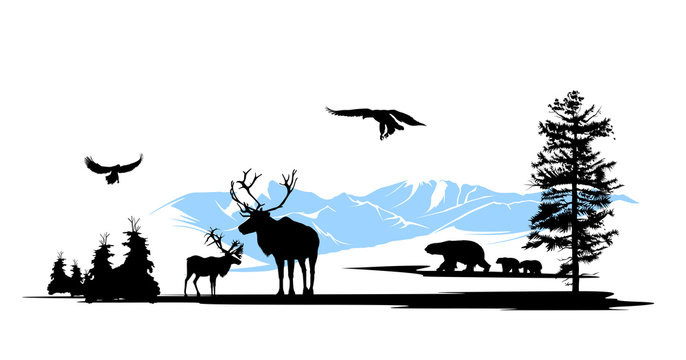 Woods animals on the pine wood and snow mountains background