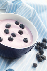 Blueberry Yogurt