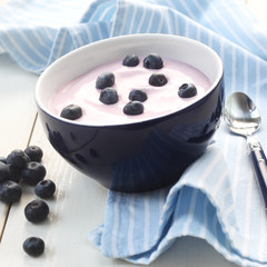 Blueberry Yogurt