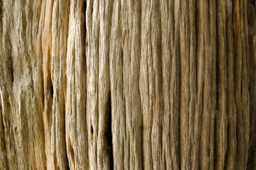Wood_003