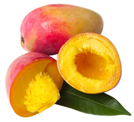 mangue